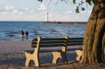 A photo of a bench under a tree looking out onto Sodus Point Lighthouse at Lake Ontario.
