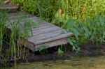 A photo of a dock in a marsh